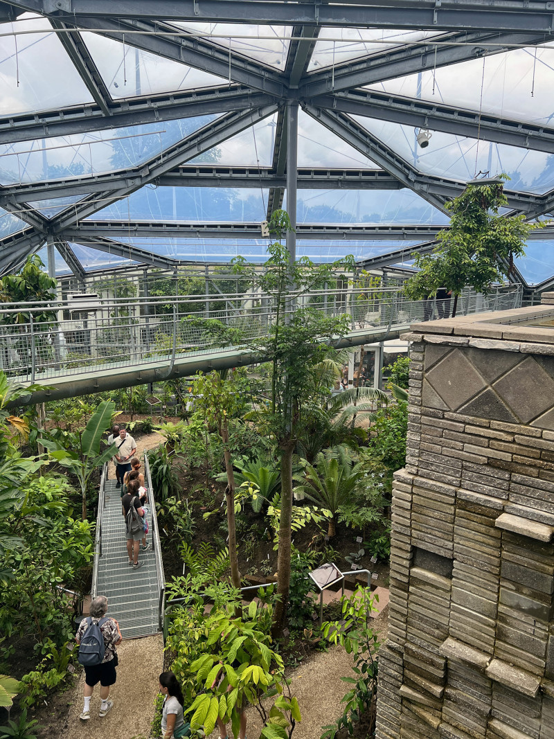 view of an enclosed botanical garden housed in a twenty-first-century building